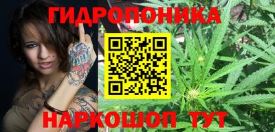 jwh Владимир