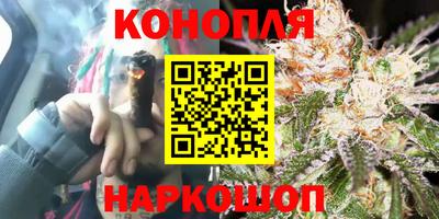 mdpv Владикавказ