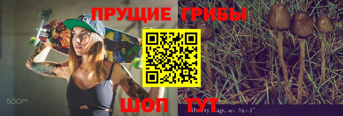 Псилоцибиновые грибы мухоморы Владимир
