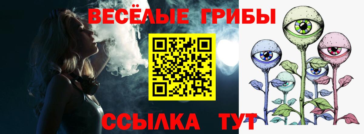 где продают   Вход с VPN  Владимир  Галлюциногенные грибы прущие грибы  Галлюциногенные грибы MAGIC MUSHROOMS 